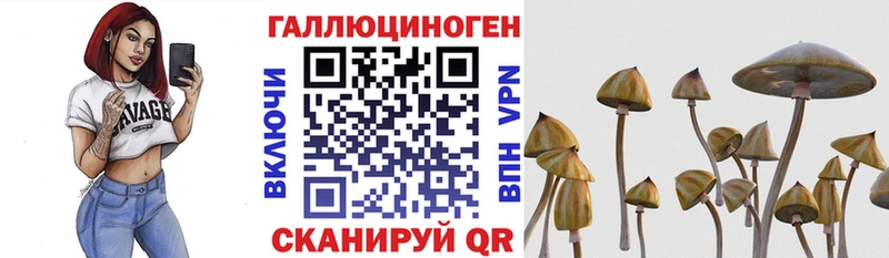 Псилоцибиновые грибы Magic Shrooms  Купить закладки  Болгар 